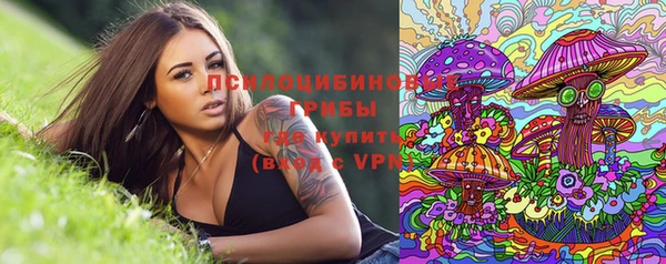 МДПВ Абдулино