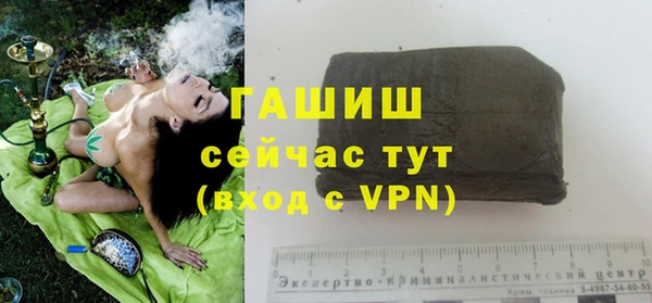 стаф Абаза