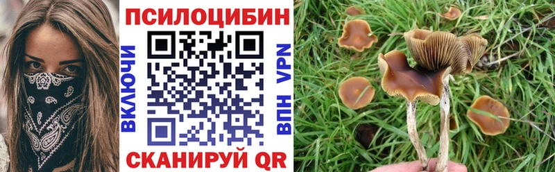 Галлюциногенные грибы мухоморы  ОМГ ОМГ ONION  Новочебоксарск 