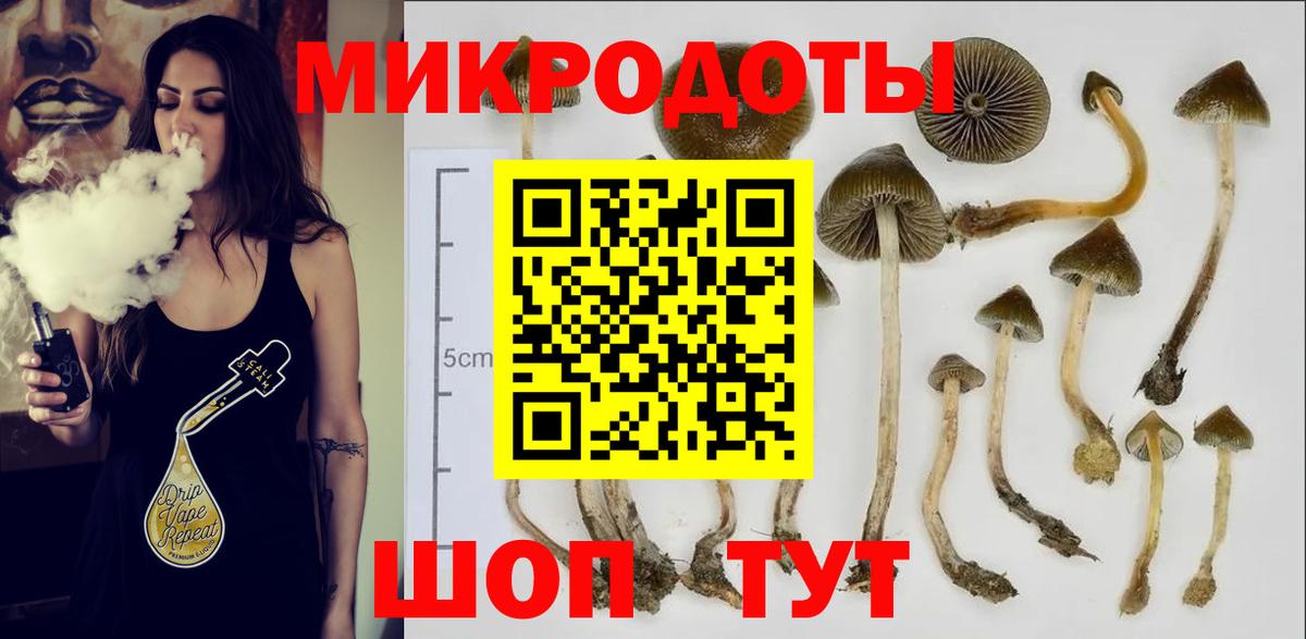 Псилоцибиновые грибы MAGIC MUSHROOMS  Галлюциногенные грибы Cubensis  Новочебоксарск  Вход с VPN 